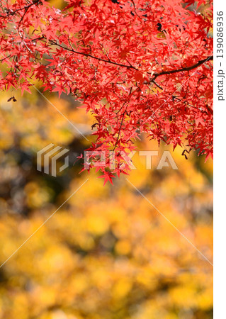 日本の秋の風景 紅葉 日本の秋の風景 紅葉 139086936