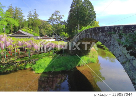 満開の藤棚と西寒田神社（石橋・大分市） 139087044