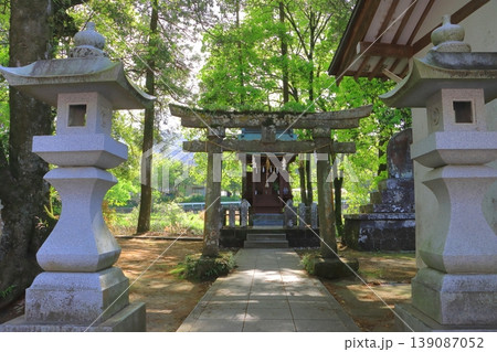 新緑の西寒田神社(大分市) 新緑の西寒田神社(大分市) 139087052