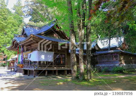 新緑の西寒田神社(本殿・大分市) 新緑の西寒田神社(本殿・大分市) 139087056