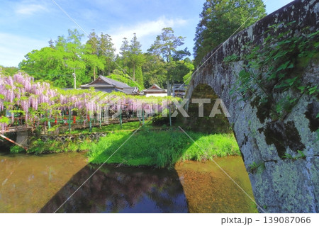 満開の藤棚と西寒田神社(石橋・大分市) 満開の藤棚と西寒田神社(石橋・大分市) 139087066