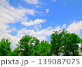 新緑と青空のある風景 139087075