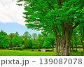 新緑と青空のある風景 139087078