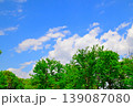 新緑と青空のある風景 139087080