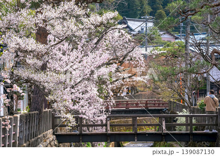 260409江名子川桜g285 260409江名子川桜g285 139087130