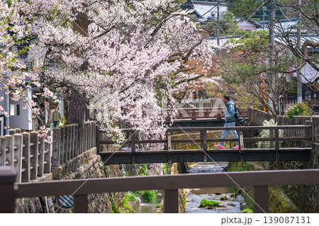 260409江名子川桜g286 260409江名子川桜g286 139087131