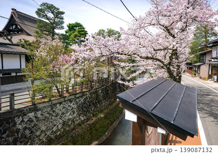 260409江名子川桜s291 260409江名子川桜s291 139087132