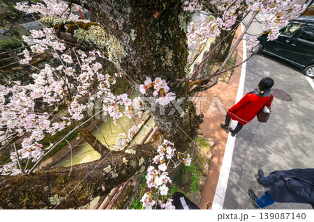 260409江名子川桜s340 260409江名子川桜s340 139087140