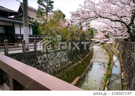 260409江名子川桜s411 260409江名子川桜s411 139087147