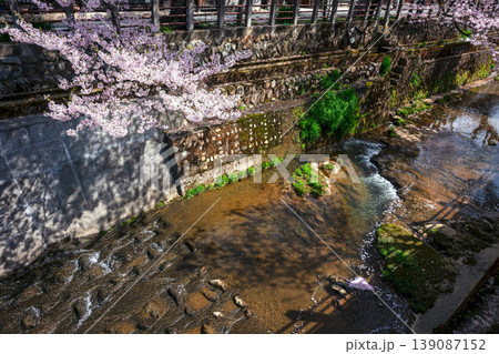 260409江名子川桜z033 260409江名子川桜z033 139087152