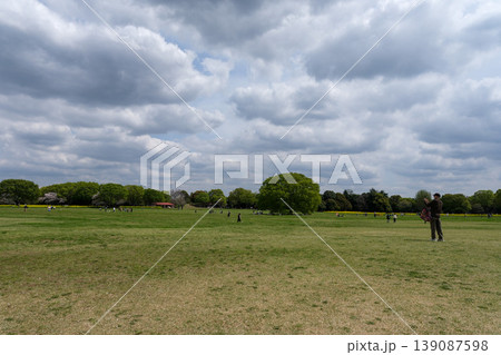 大きな公園の広場 大きな公園の広場 139087598