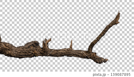 Dry branches isolated on a transparent background. Dry branches isolated on a transparent background. 139087895