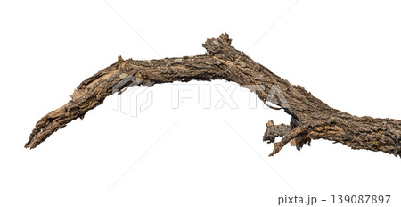 Dry branches isolated on a transparent background. Dry branches isolated on a transparent background. 139087897