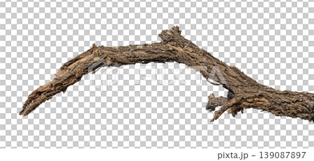 Dry branches isolated on a transparent background. Dry branches isolated on a transparent background. 139087897