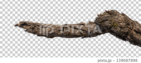 Dry branches isolated on a transparent background. Dry branches isolated on a transparent background. 139087898