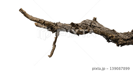 Dry branches isolated on a transparent background. 139087899