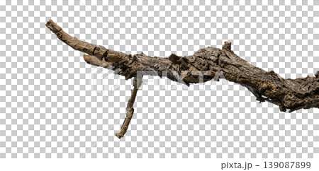 Dry branches isolated on a transparent background. 139087899