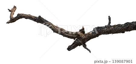 Dry branches isolated on a transparent background. 139087901