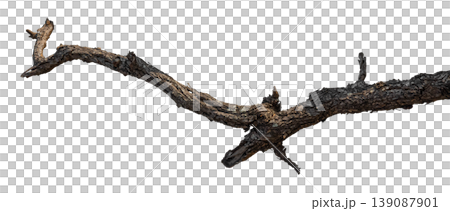 Dry branches isolated on a transparent background. 139087901