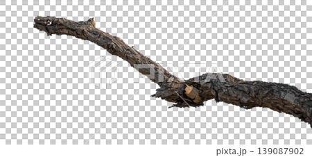 Dry branches isolated on a transparent background. Dry branches isolated on a transparent background. 139087902
