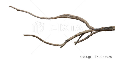 Dry branches isolated on a transparent background. Dry branches isolated on a transparent background. 139087920
