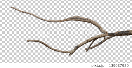 Dry branches isolated on a transparent background. Dry branches isolated on a transparent background. 139087920