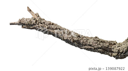Dry branches isolated on a transparent background. Dry branches isolated on a transparent background. 139087922