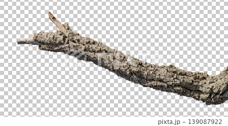 Dry branches isolated on a transparent background. Dry branches isolated on a transparent background. 139087922