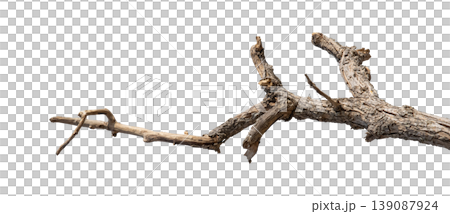 Dry branches isolated on a transparent background. Dry branches isolated on a transparent background. 139087924