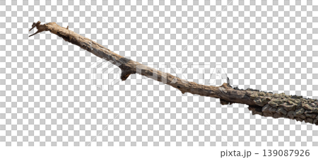 Dry branches isolated on a transparent background. Dry branches isolated on a transparent background. 139087926