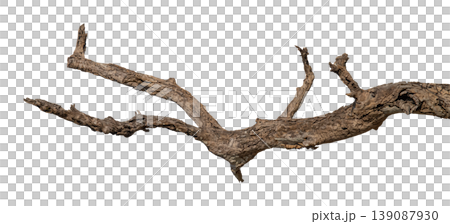 Dry branches isolated on a transparent background. Dry branches isolated on a transparent background. 139087930