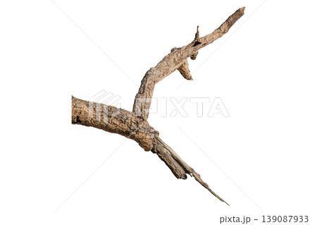 Dry branches isolated on a transparent background. 139087933