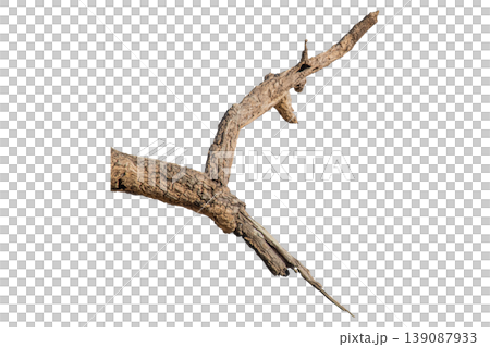 Dry branches isolated on a transparent background. 139087933