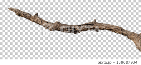 Dry branches isolated on a transparent background. Dry branches isolated on a transparent background. 139087934