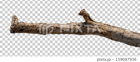 Dry branches isolated on a transparent background. Dry branches isolated on a transparent background. 139087936