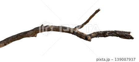 Dry branches isolated on a transparent background. Dry branches isolated on a transparent background. 139087937