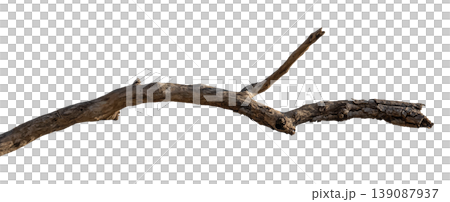 Dry branches isolated on a transparent background. Dry branches isolated on a transparent background. 139087937