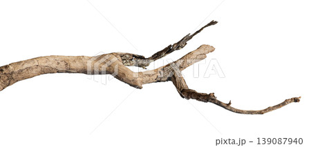 Dry branches isolated on a transparent background. 139087940