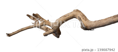 Dry branches isolated on a transparent background. Dry branches isolated on a transparent background. 139087942