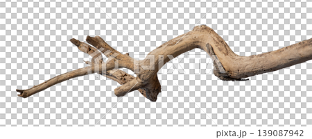 Dry branches isolated on a transparent background. Dry branches isolated on a transparent background. 139087942