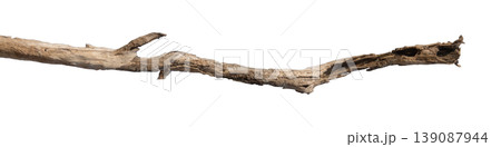 Dry branches isolated on a transparent background. 139087944