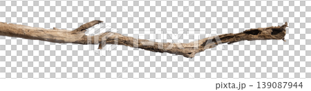 Dry branches isolated on a transparent background. 139087944