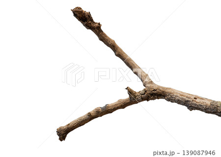 Dry branches isolated on a transparent background. Dry branches isolated on a transparent background. 139087946
