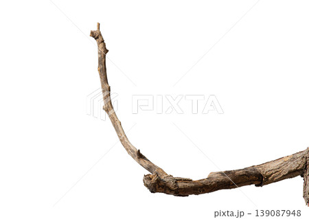 Dry branches isolated on a transparent background. 139087948
