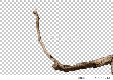 Dry branches isolated on a transparent background. 139087948