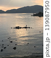 瀬戸内海の夕景と白鷺 139087950