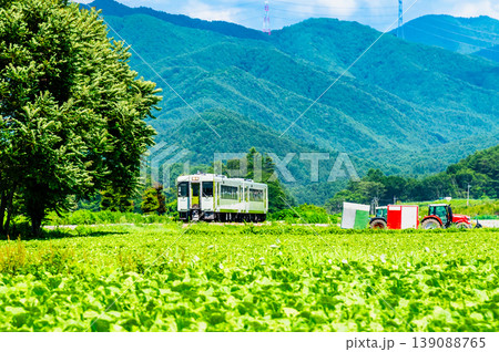 小海線 夏のレタス畑を駆ける列車 小海線 夏のレタス畑を駆ける列車 139088765