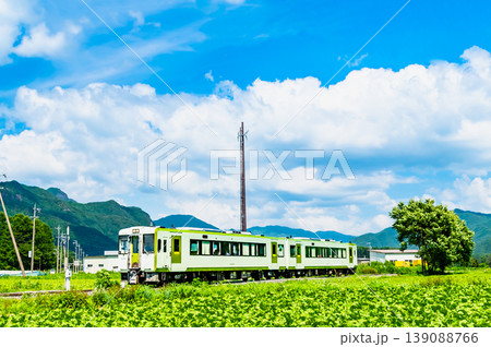 小海線　夏のレタス畑を駆ける列車 139088766