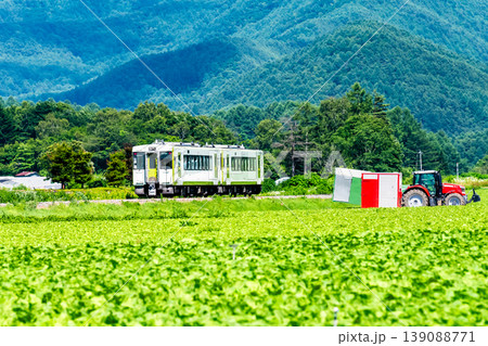 小海線　夏のレタス畑を駆ける列車 139088771