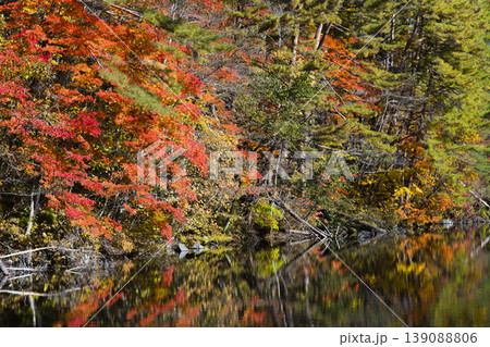 紅葉に染まる池 紅葉に染まる池 139088806